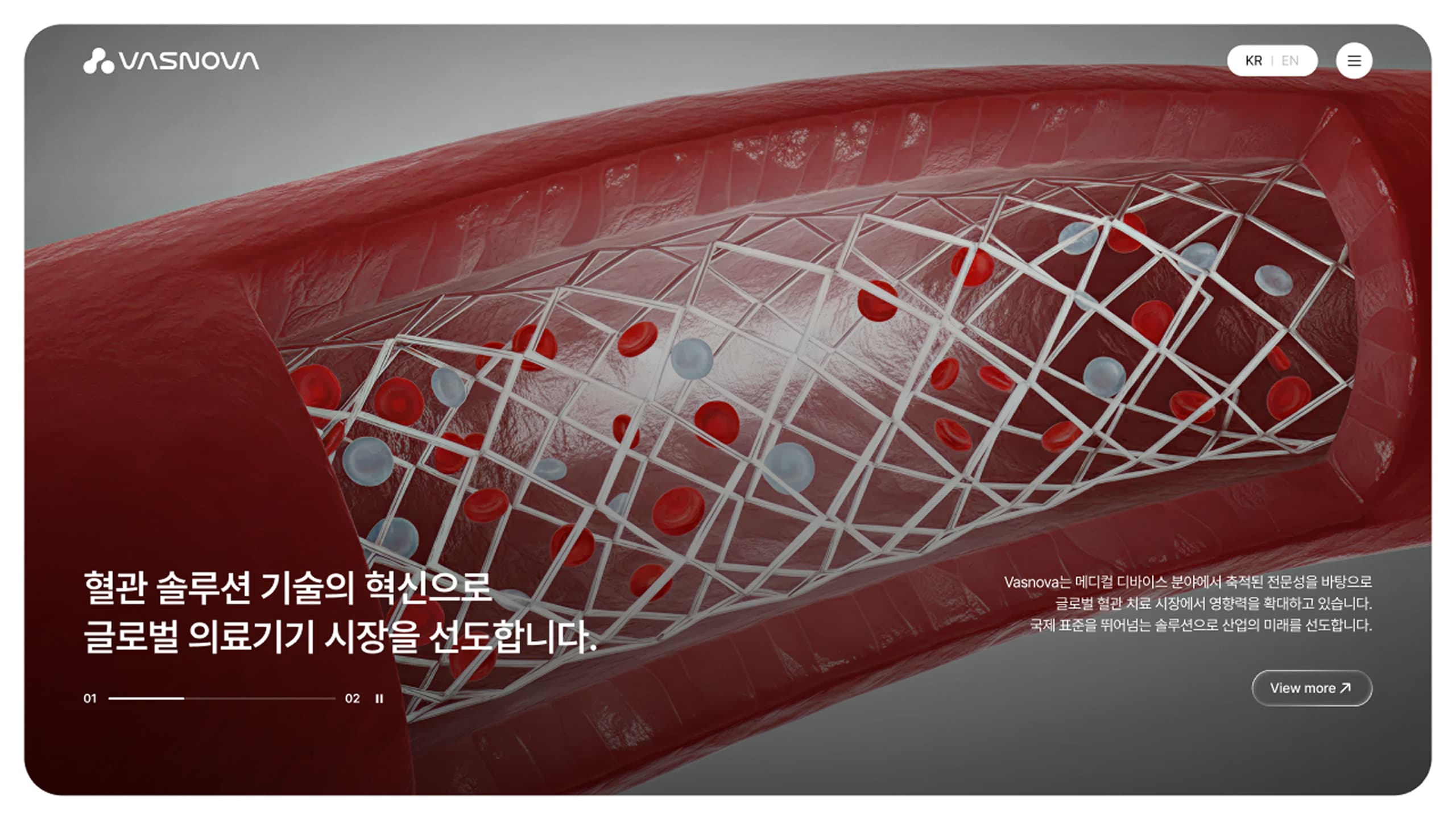 바스노바